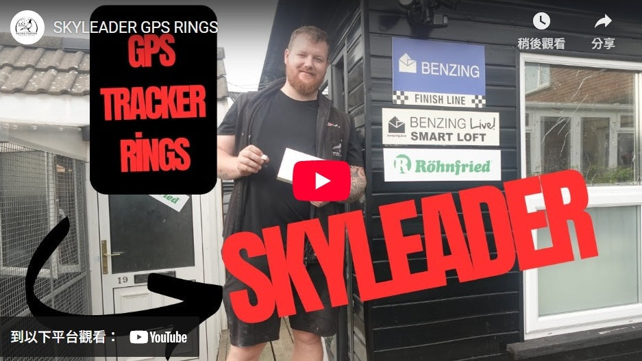 英國鴿友S&S Brown Racing Pigeons開箱囉!